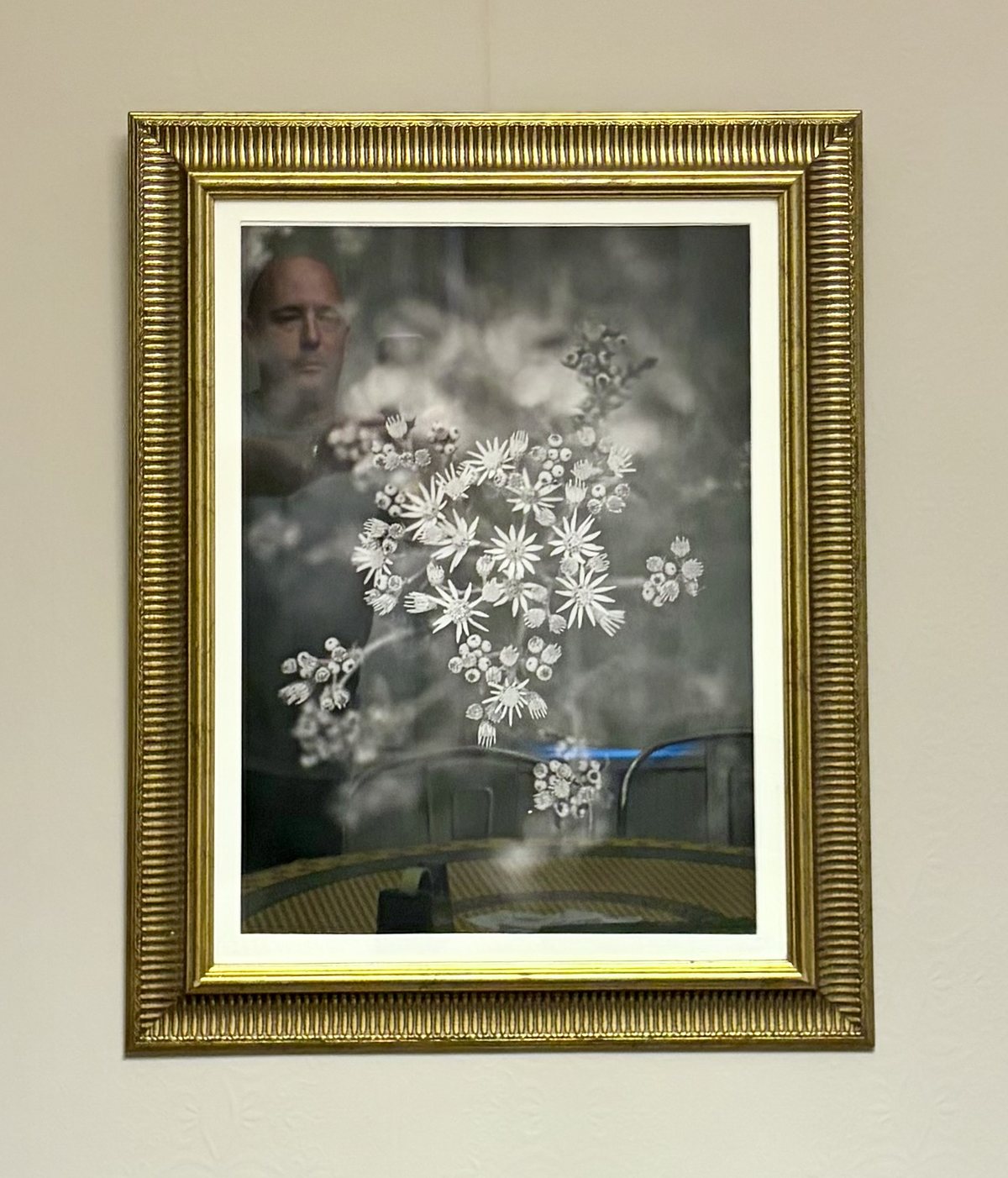 A framed print of an umbellifer in flower, in a wide ribbed gilt frame with a white mount, hanging on a pale wall