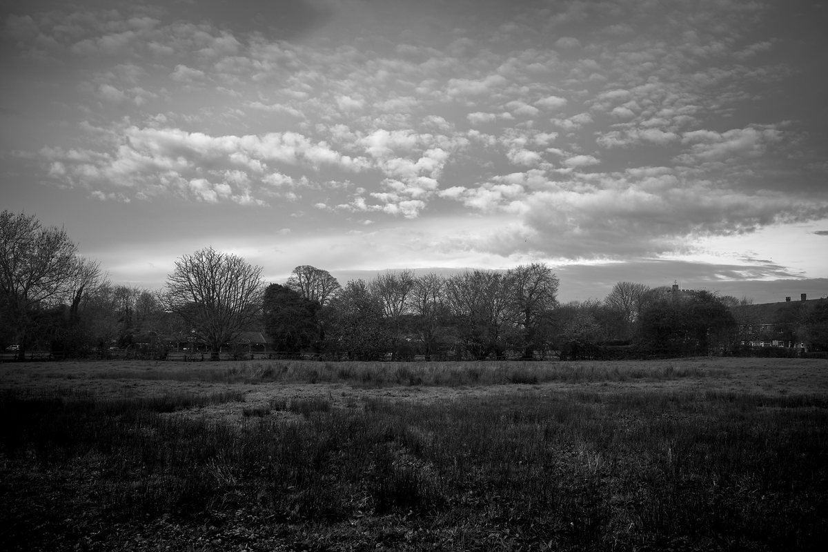 A meadow beneath a mackerel sky